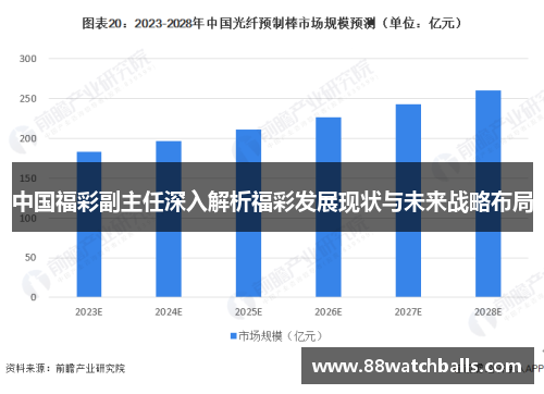 中国福彩副主任深入解析福彩发展现状与未来战略布局